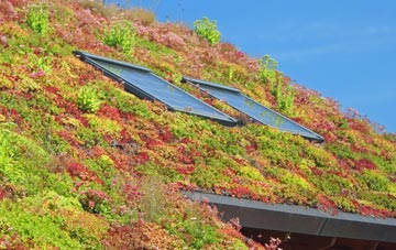 Silvertown living roof systems