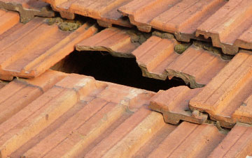 roof repair Silvertown, Newham